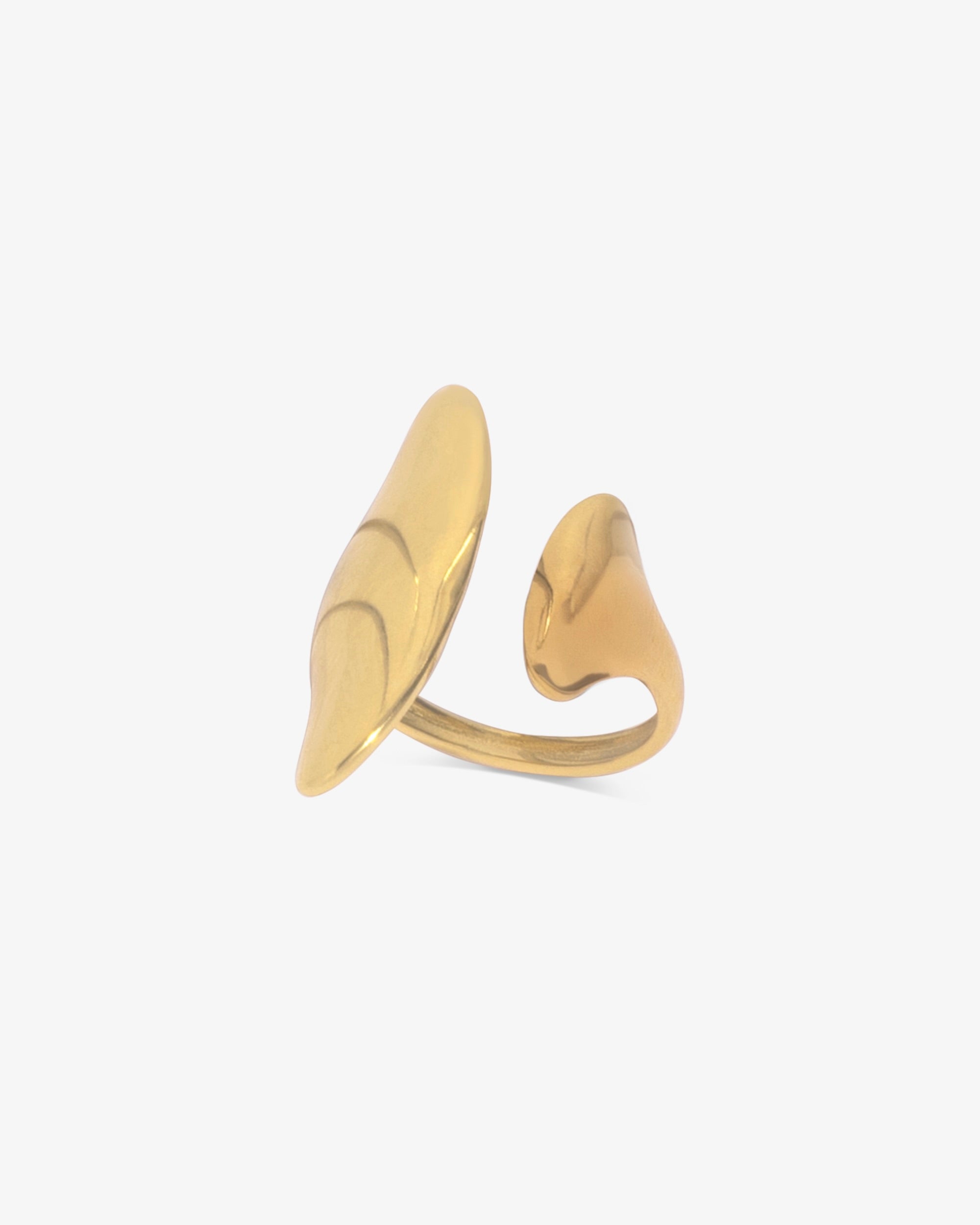 Shield ring